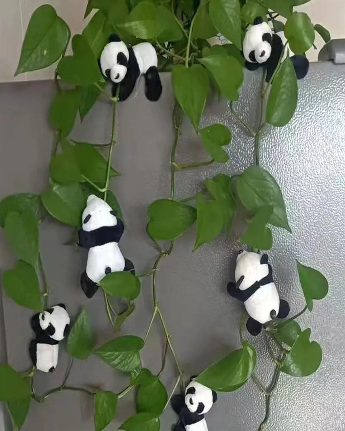 Magnetic Panda - Image 2